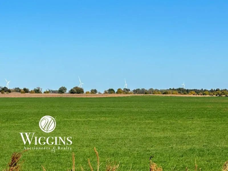 12/12 Country Home, Outbuildings, & 160 +/- Acres (Offered in 2 Tracts) 