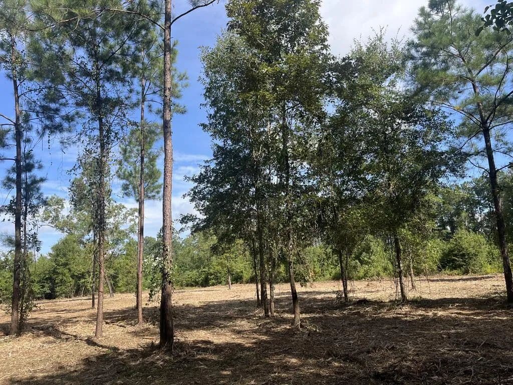 Lots & Land-Other in Thomasville - Thomasville, Georgia, 31757