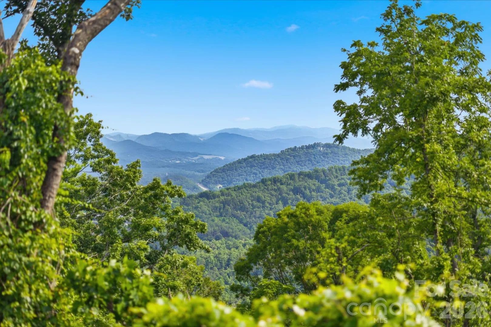 32.32 Acres of Land for Sale in Weaverville, NC - Weaverville, North Carolina, 28787