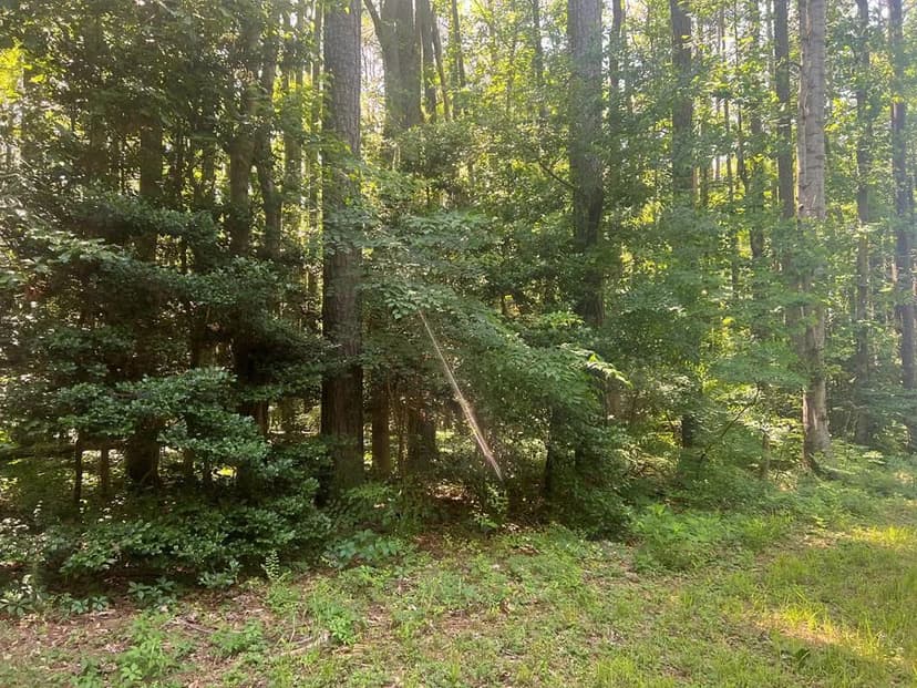 Property from Lot 125 Blackberry Road - KW