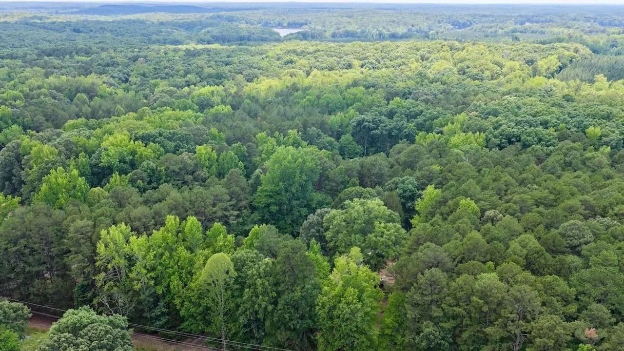 9.36 acres of residential and recreational land for sale in Mecklenburg County, VA! - Clarksville, Virginia, 23927