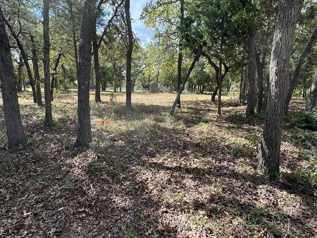Property from [Lot 1] 000 Jordan Lane - KW - Elgin, Texas, 78621