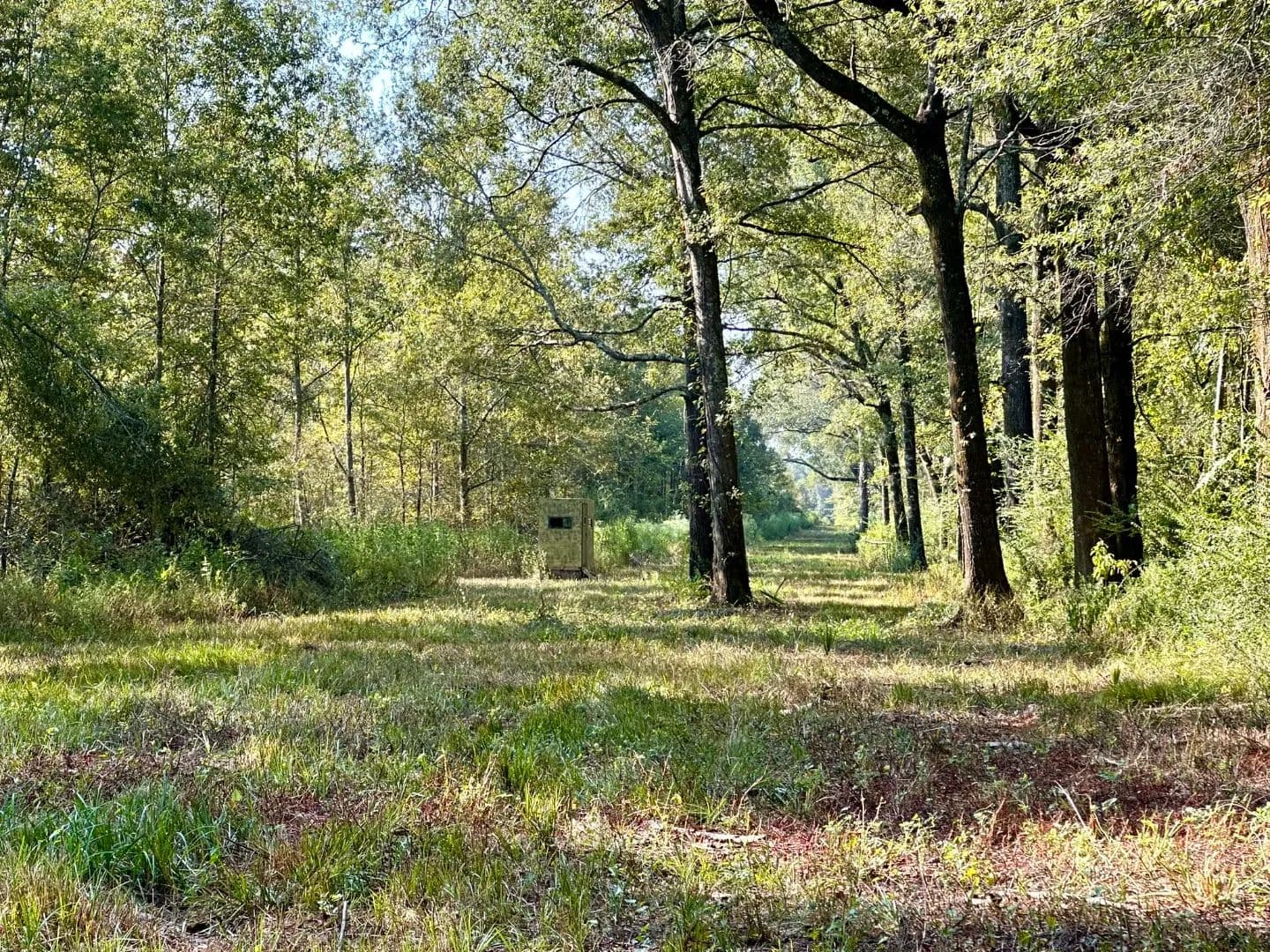 LA - Franklin 117 acres +/- - Winnsboro, Louisiana, 71295