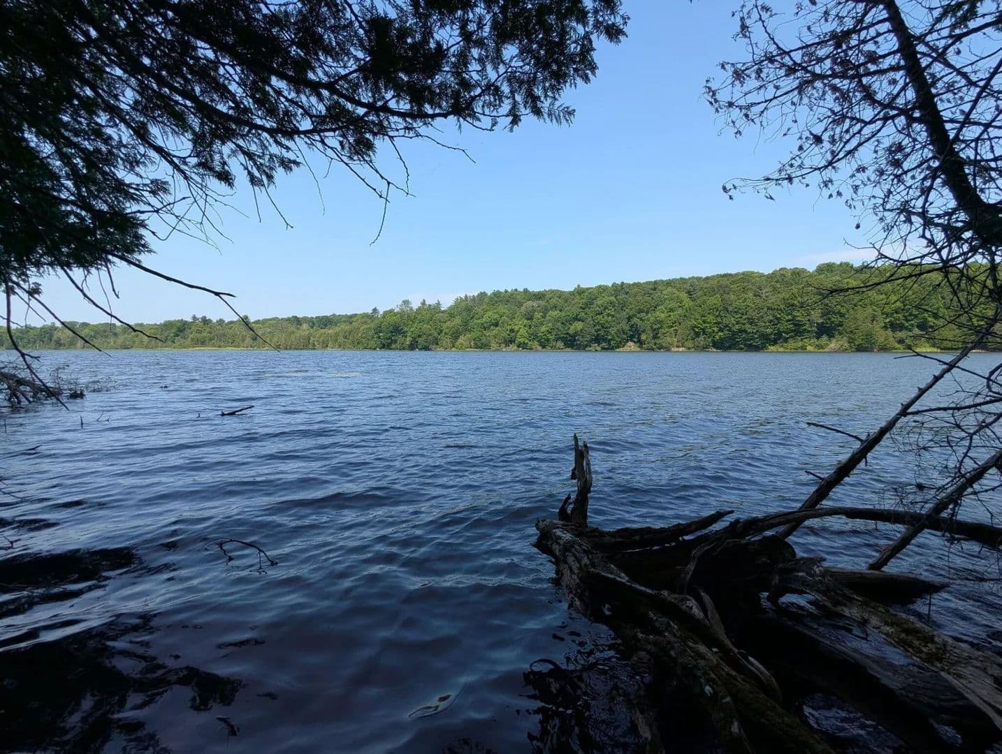 Land -Single Family Acreage in Garland - Garland, Maine, 04939
