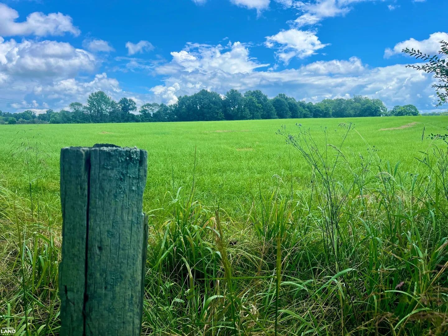 Glaze Ferry Farm - Vincent, Alabama, 35078