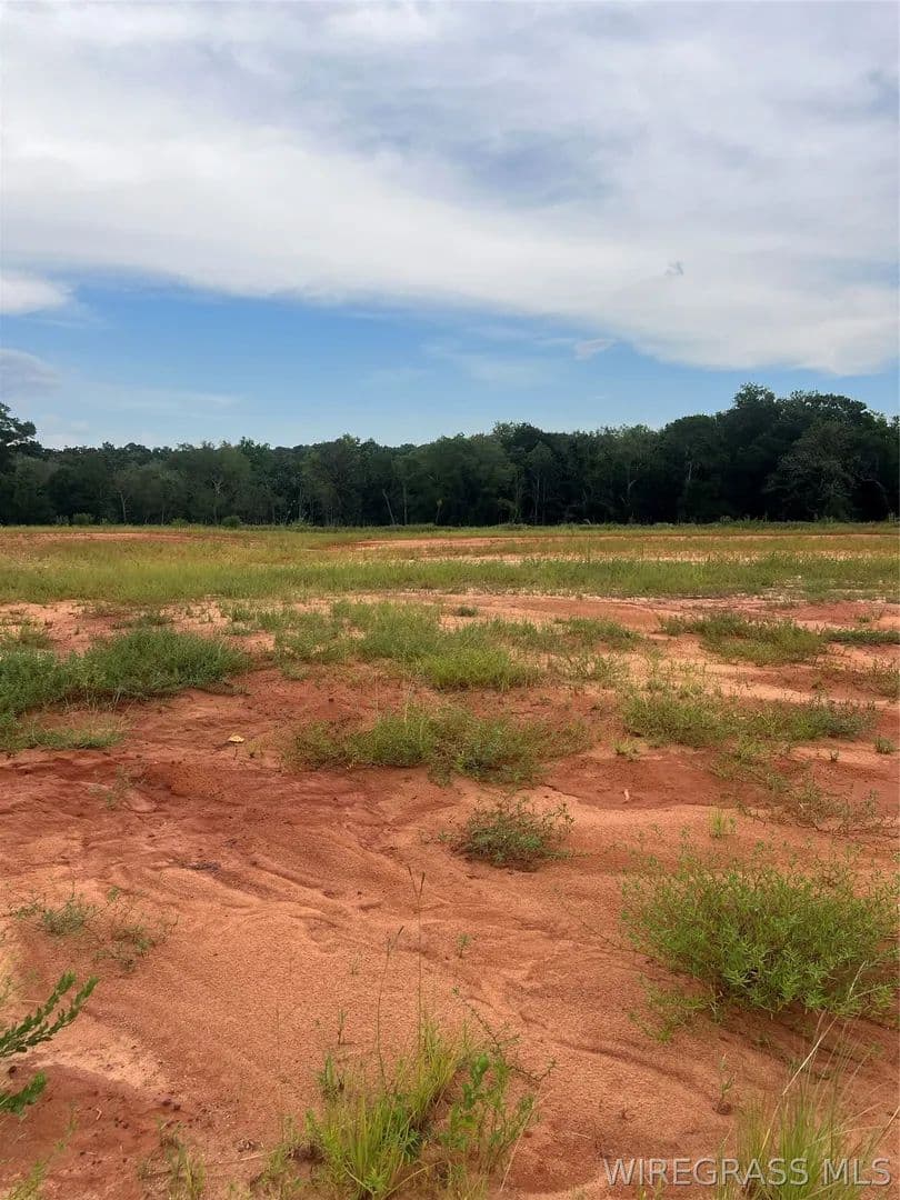 Vacant Land in Enterprise - Enterprise, Alabama, 36330