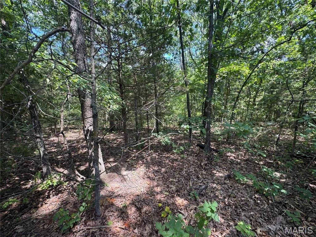 Vacant Land in Bonne Terre - Bonne Terre, Missouri, 63628