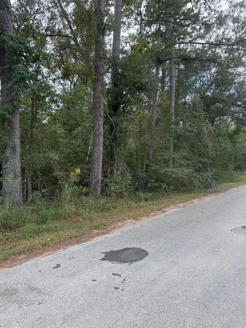 Lots & Land-Other in Splendora - Splendora, Texas, 77372