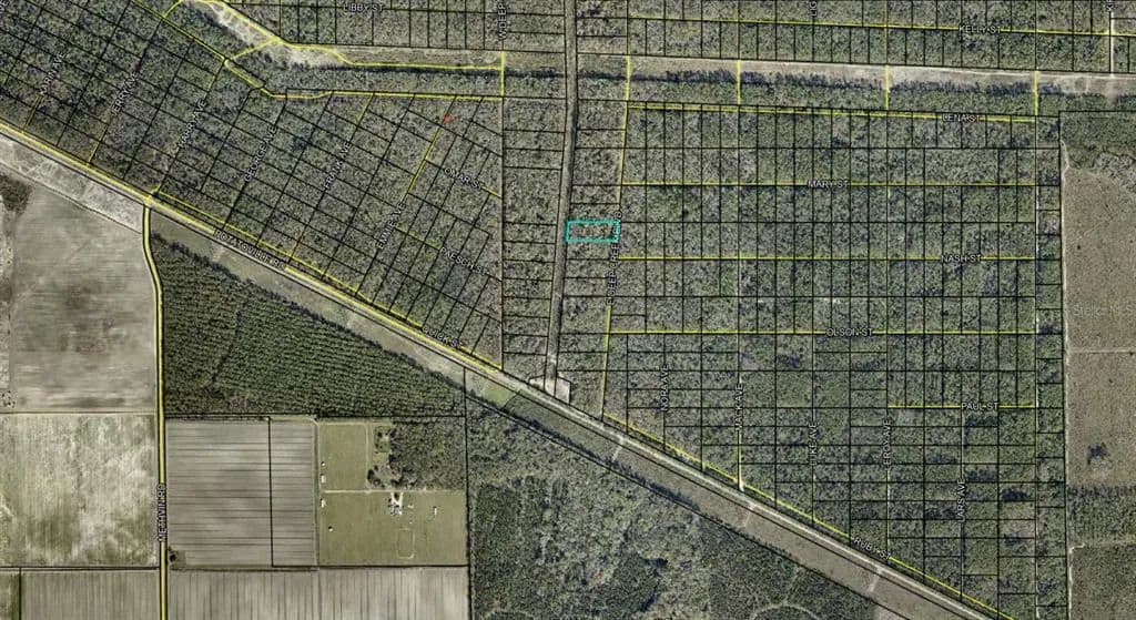Vacant Land in Hastings - Hastings, Florida, 32145