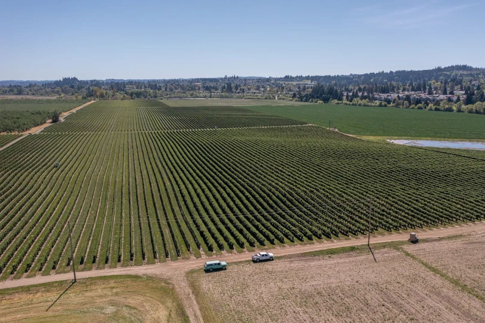 445 Acres of Land for Sale in West Salem, OR - West Salem, Oregon, 97304