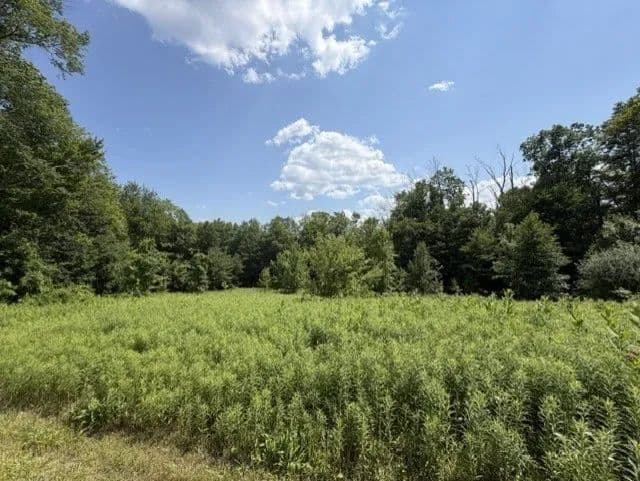 Vacant Land in Becket - Becket, Massachusetts, 01223