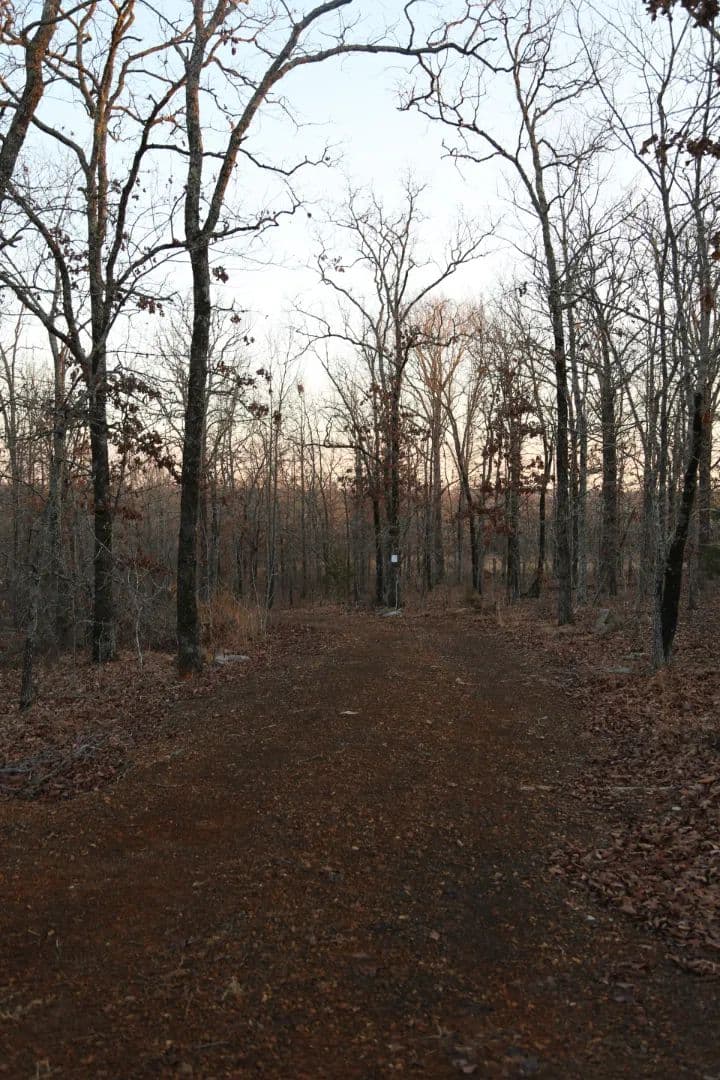 11 Acres in Pulaski County, AR