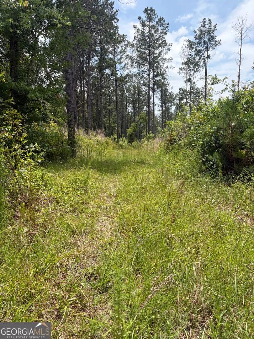Property from 9 Sunhill Grange Road - KW - Davisboro, Georgia, 31018