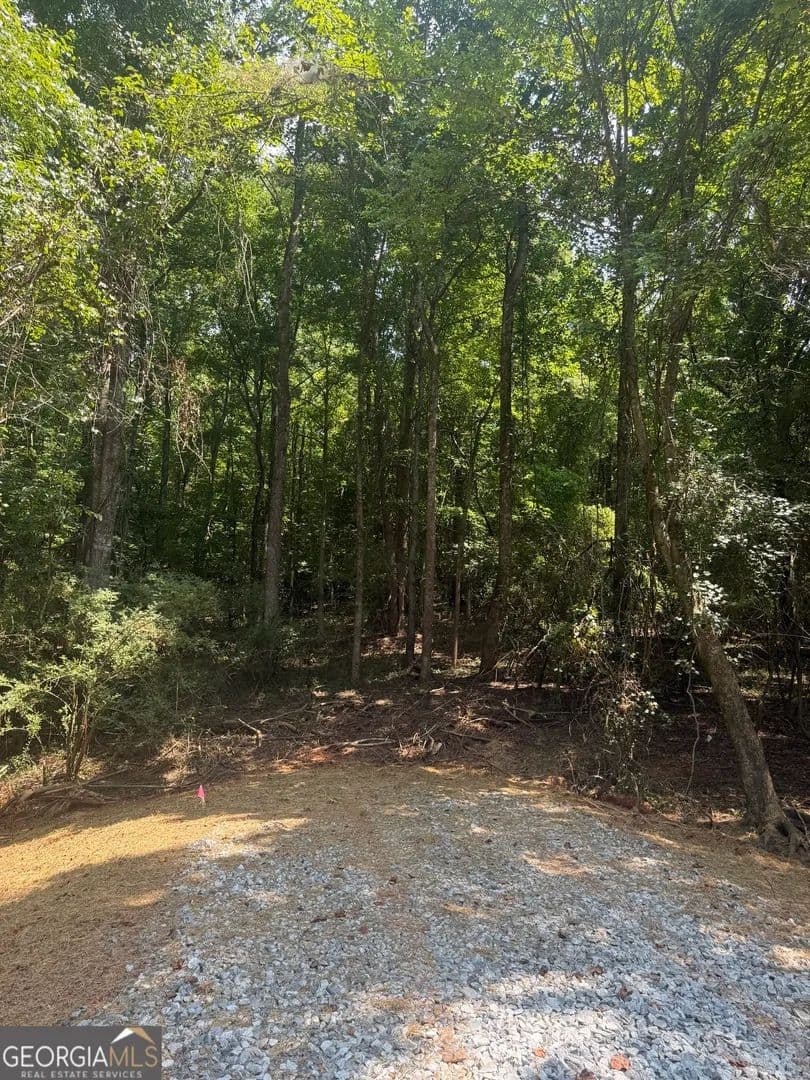 6 Acres of Land for Sale in Gainesville, GA - Gainesville, Georgia, 30506