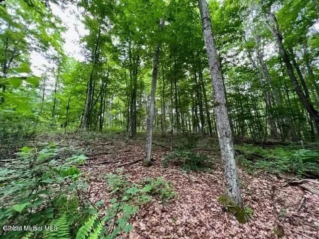 Land -Single Family Acreage in Gloversville - Gloversville, New York, 12078