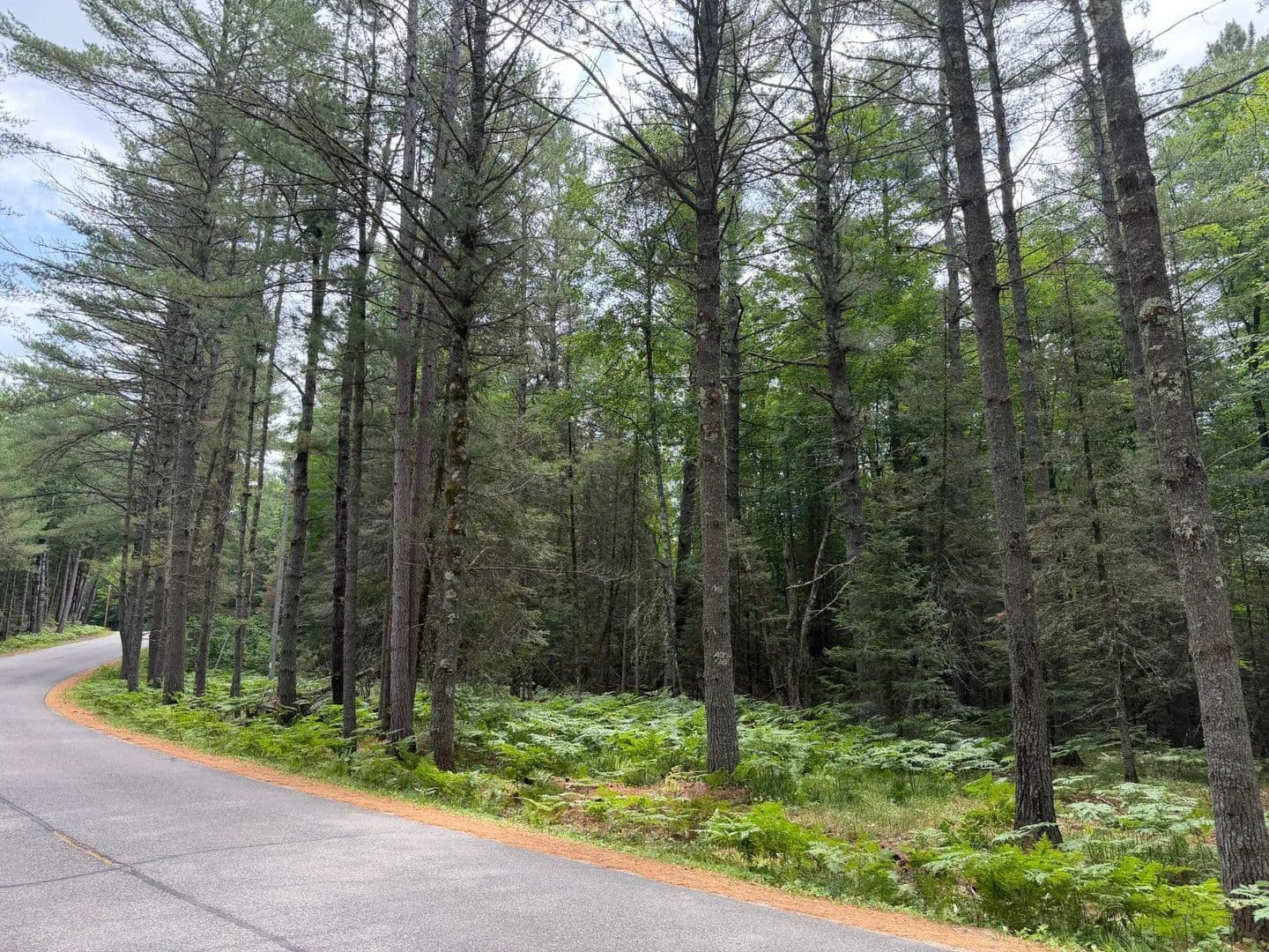 Vacant Land (0-10 Acres) in Eagle River - Eagle River, Wisconsin, 54521