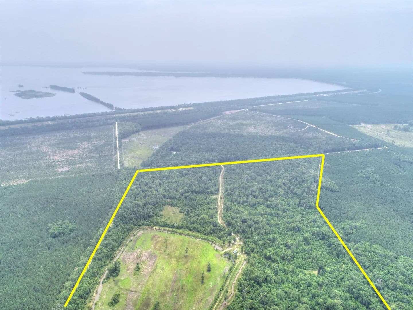 Vacant Land in Pinopolis - Pinopolis, South Carolina, 29469