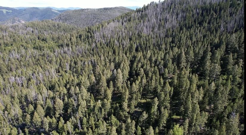 Property from NHN Vent Lode MS No 4649 - KW