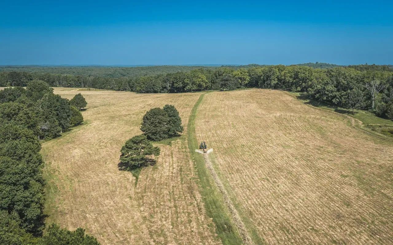 Spring Rock White Oak Field - Norwood, Missouri, 65717