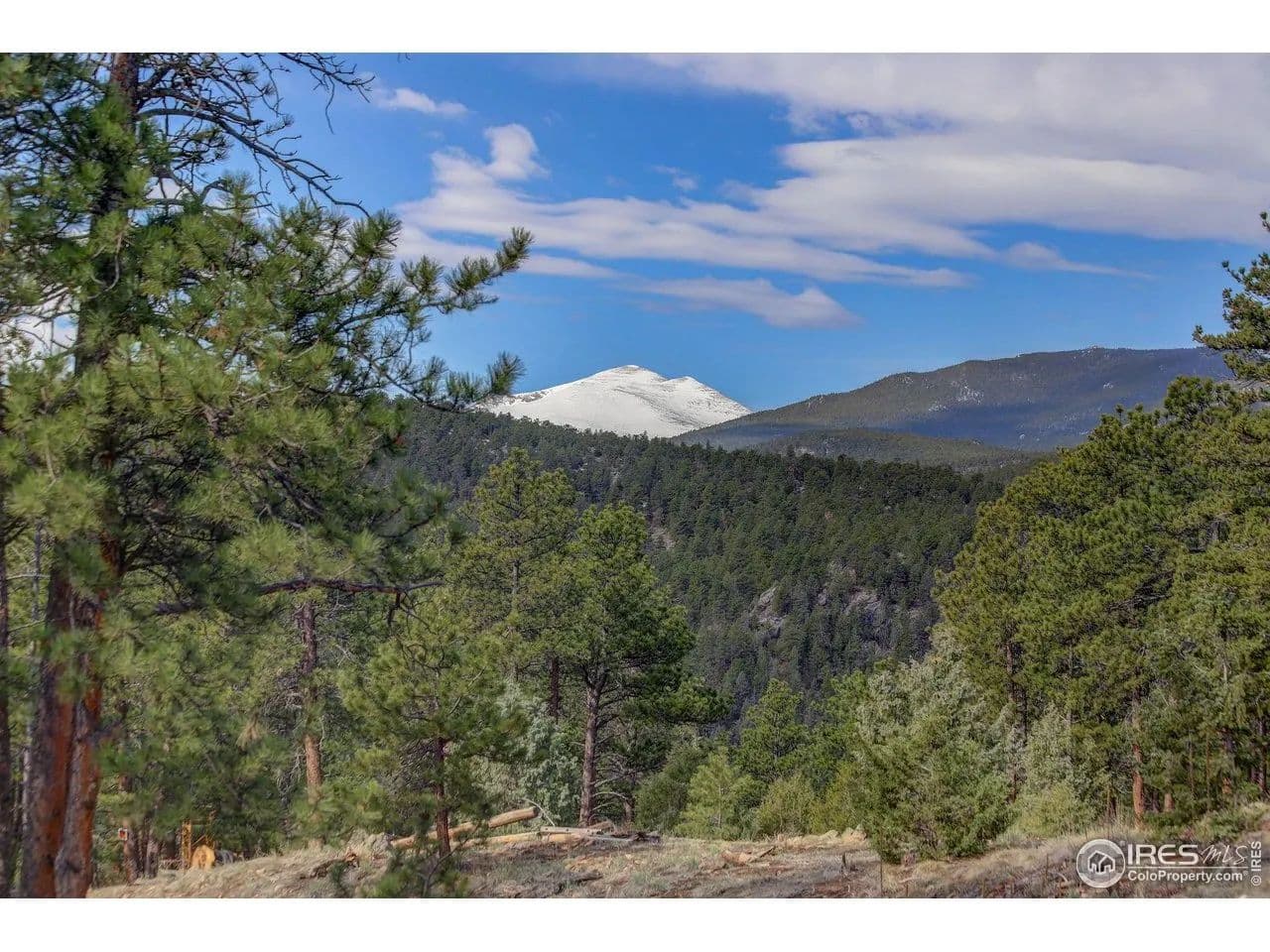 Vacant Land in Lyons - Lyons, Colorado, 80540