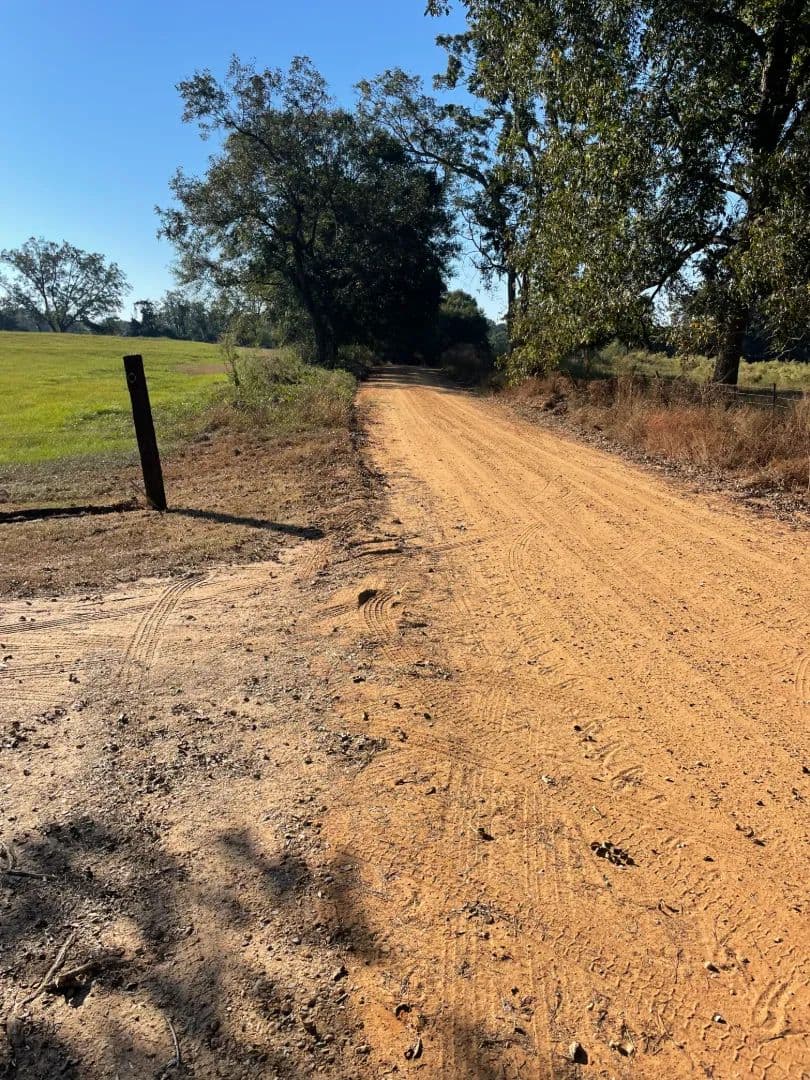 A Home on 2 Acres in Crenshaw County, AL 