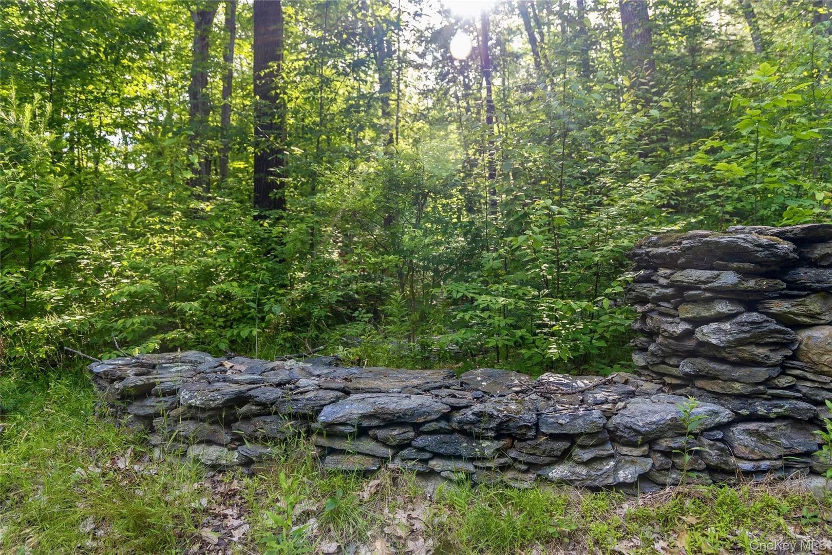 Land for Sale in Verbank, NY - Verbank, New York, 12585