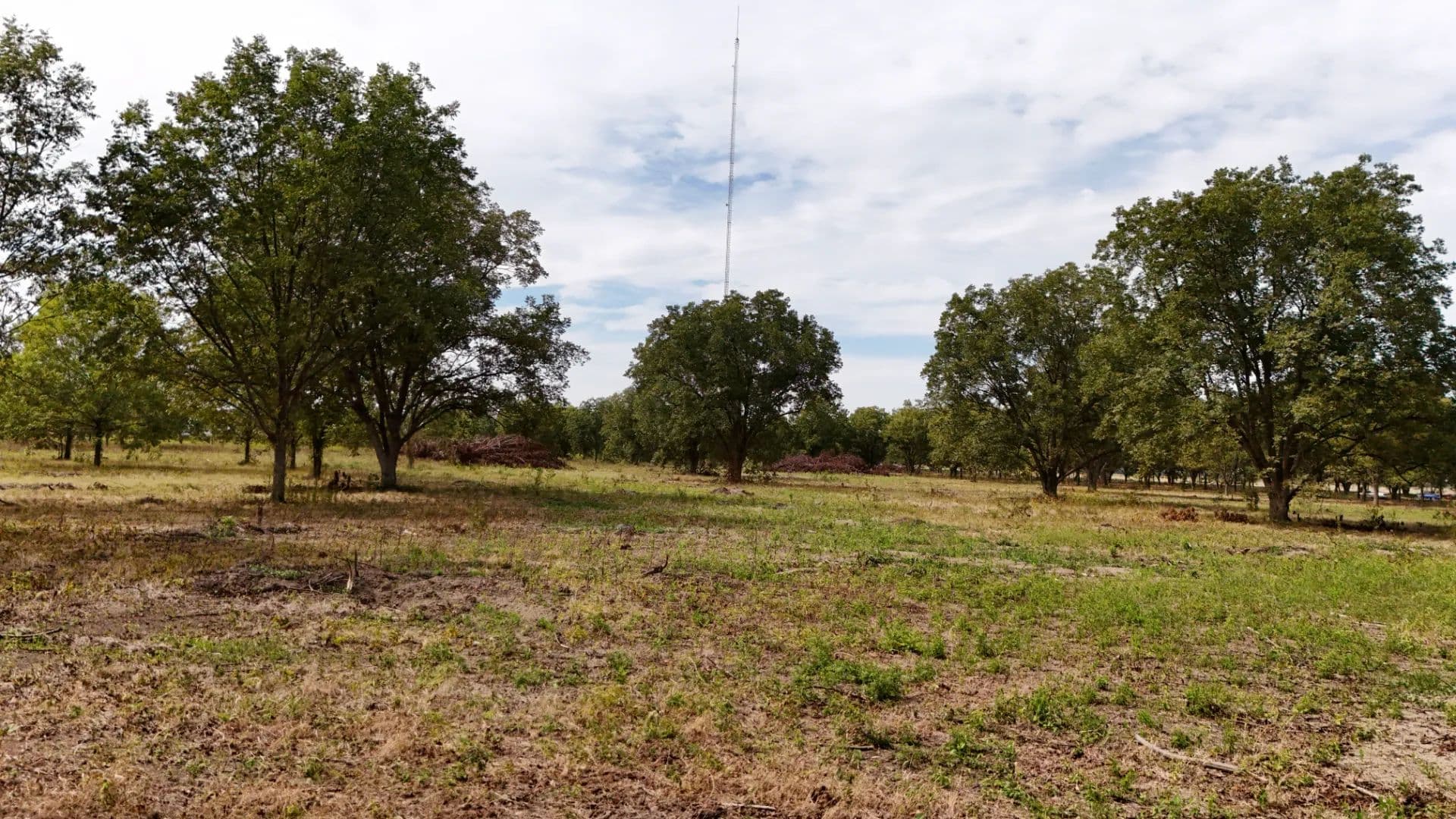 34 Acres in Bolivar County, MS  - Shaw, Mississippi, 38773