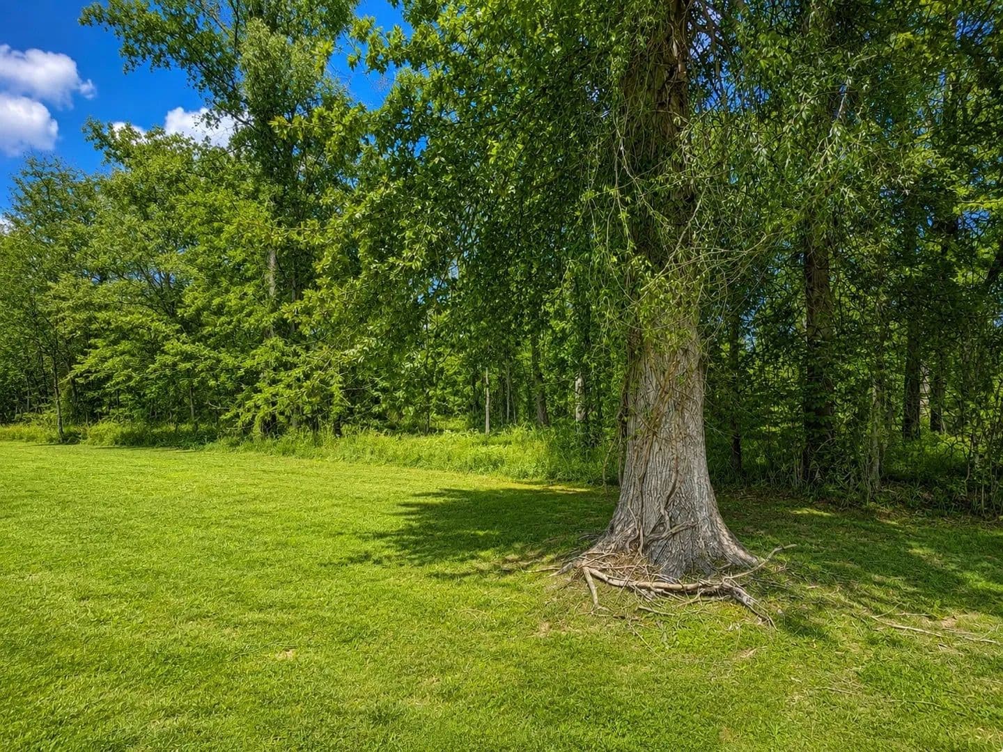 Vacant Land in Clarksville - Clarksville, Tennessee, 37043