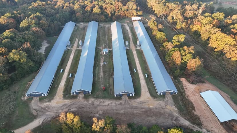 11.77 Acre in Poultry Farm with a Home in Union Parish, LA 