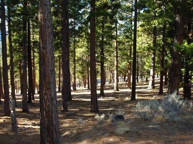 Vacant Land in Portola - Portola, California, 96122