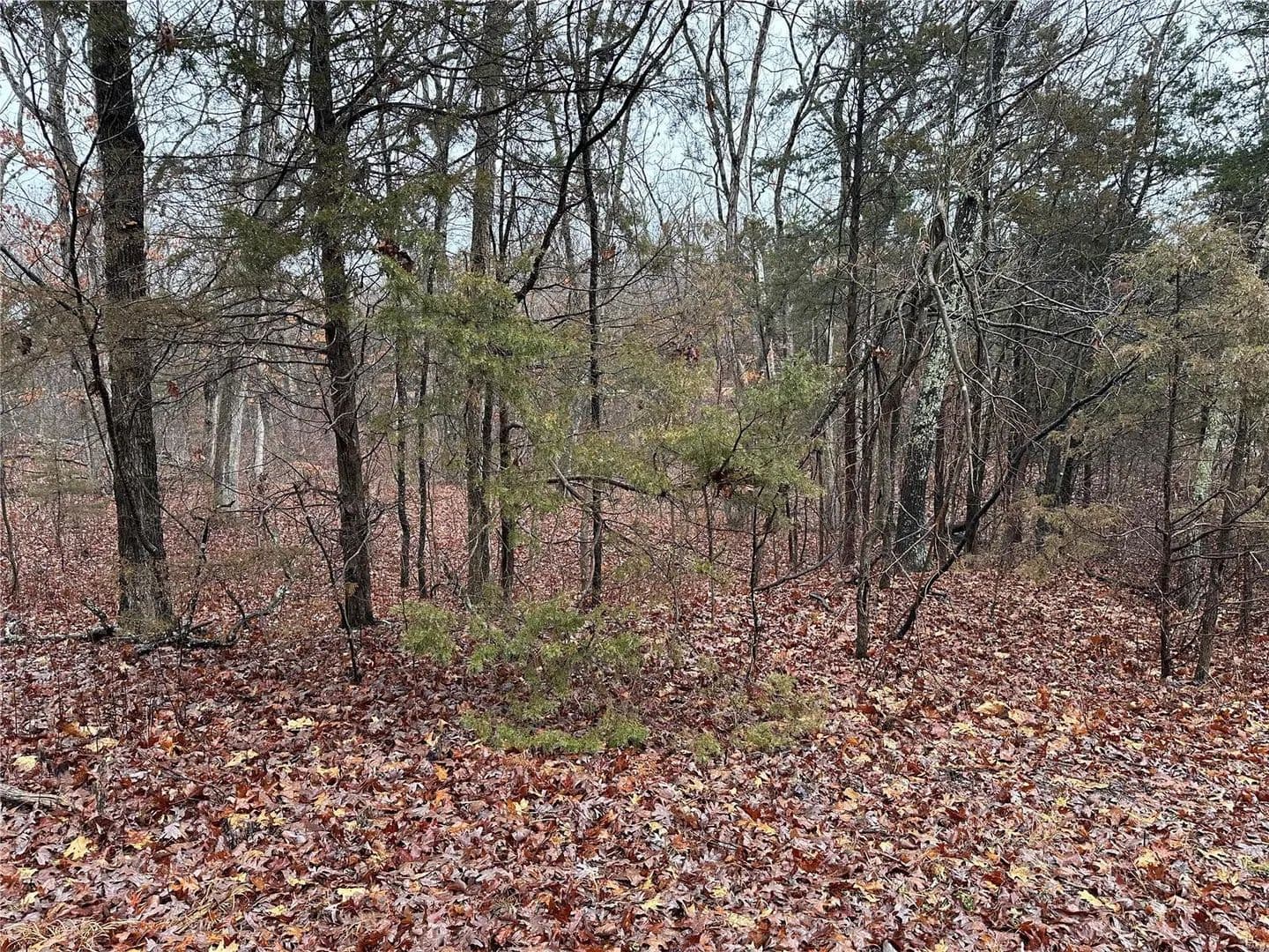 Vacant Land in Bonne Terre - Bonne Terre, Missouri, 63628