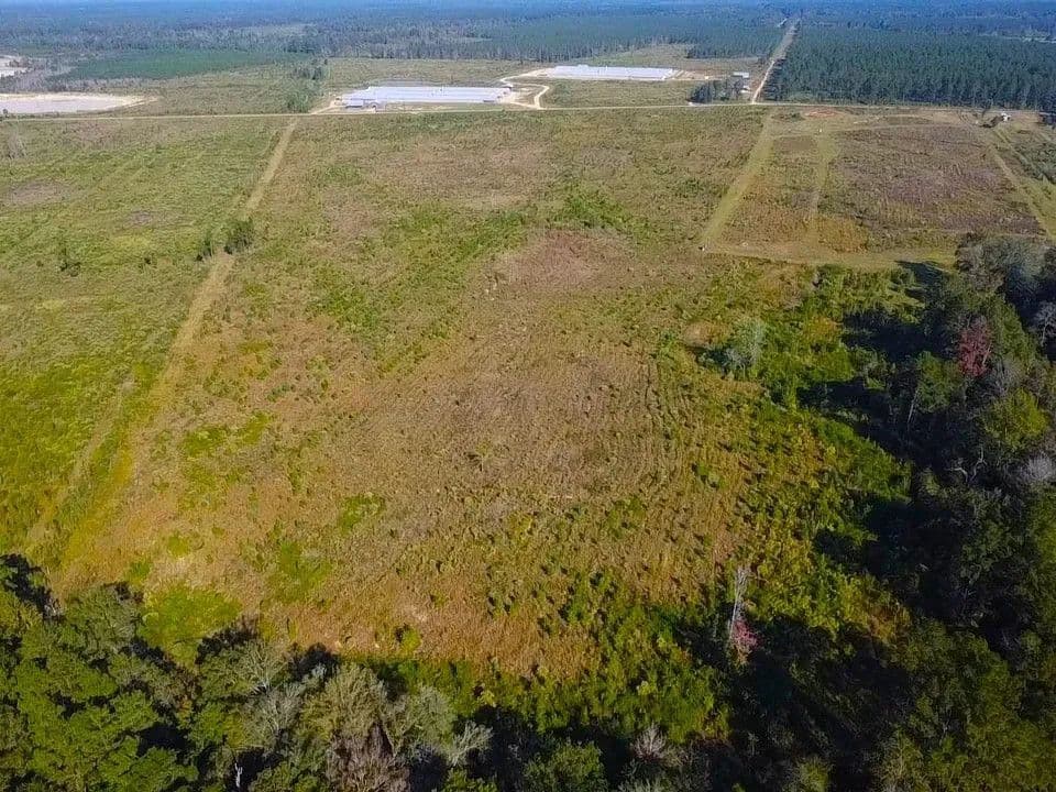 58 Acres Rogers Road Marion County - Columbia, Mississippi, 39429