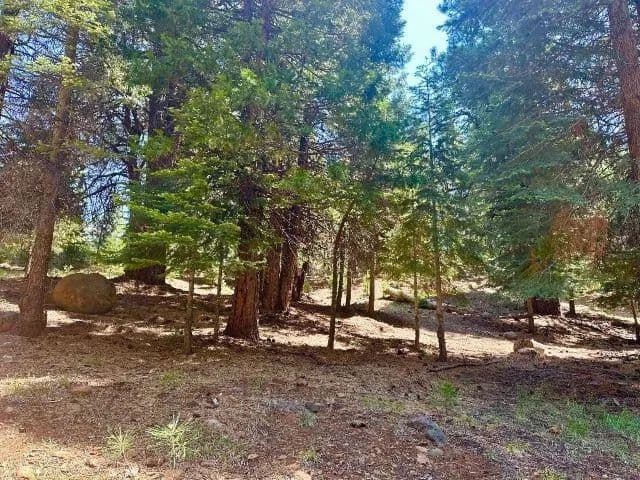 Vacant Land in Lake Almanor West - Lake Almanor West, California, 96020