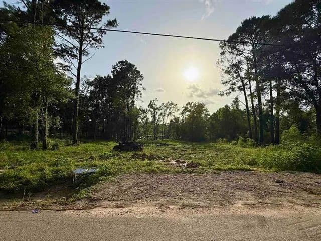 Lots & Land-Other in Lumberton - Lumberton, Texas, 77657