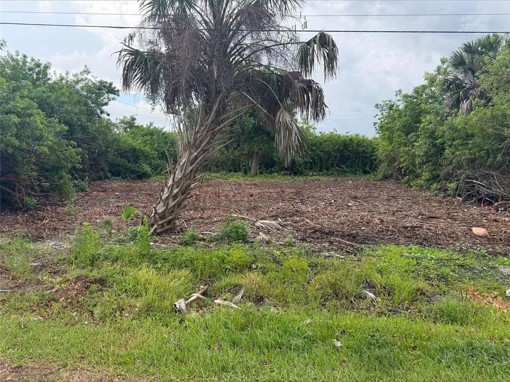 Vacant Land in Punta Gorda - Punta Gorda, Florida, 33950