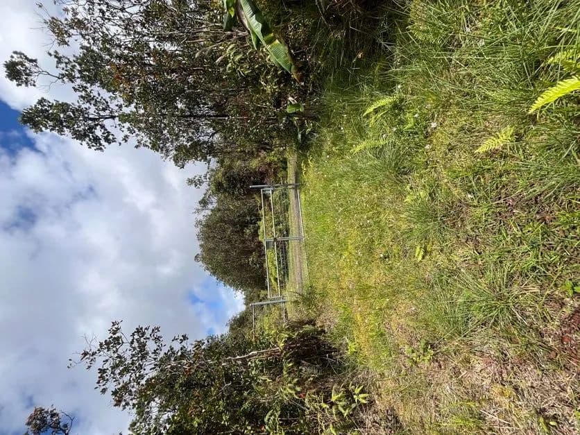 Vacant Land in Mountain View - Mountain View, Hawaii, 96771