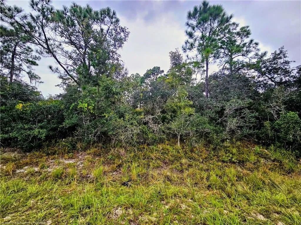 Lots & Land-Other in Lake Placid - Lake Placid, Florida, 33852