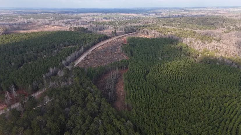 Carr Station Pines at Lake Sinclair