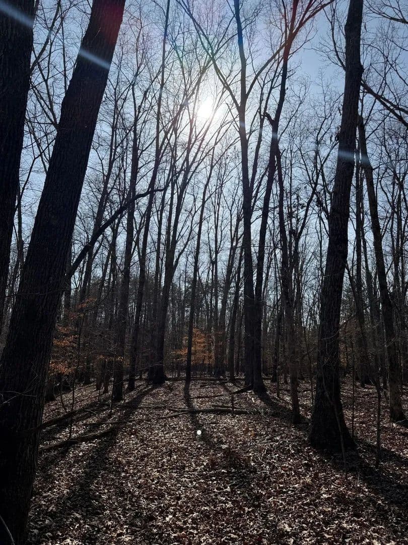 25 +/- hunting and recreational land in Jackson County, Tennessee