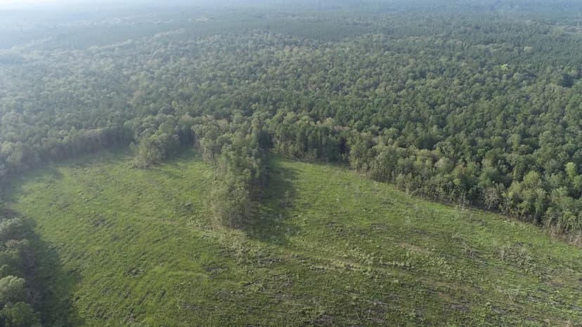 Blue Springs Tract 2