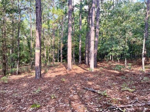 Land -Agricultural (Not Zoned) in Wetumpka - Wetumpka, Alabama, 36093