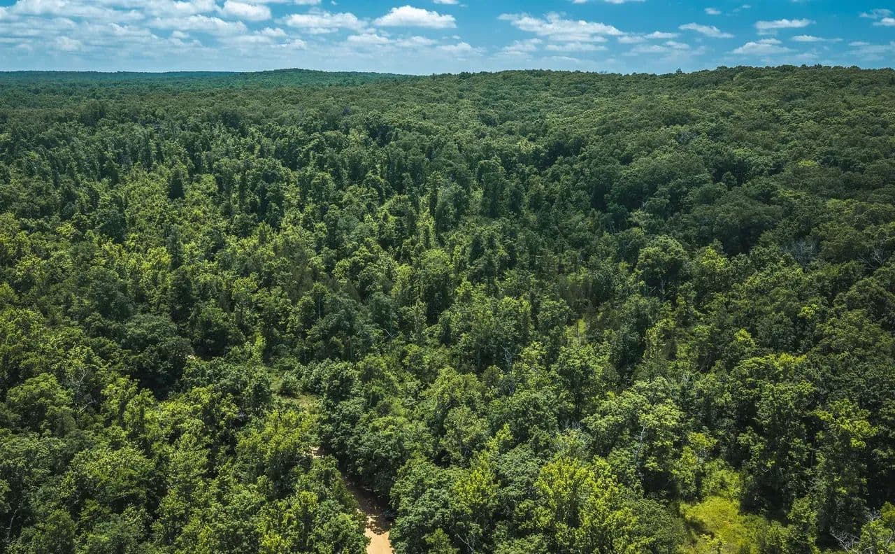 Shoal Creek Woods - Steelville, Missouri, 65565