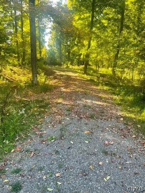 Lots & Land-Other in Eaton - Eaton, New York, 13334
