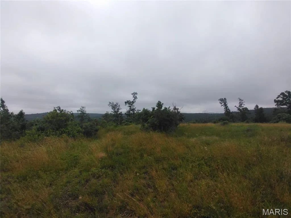 16.07 Acres of Land for Sale in Belleview, MO - Belleview, Missouri, 63623