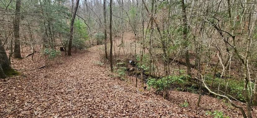 Lots & Land-Other in Blairsville