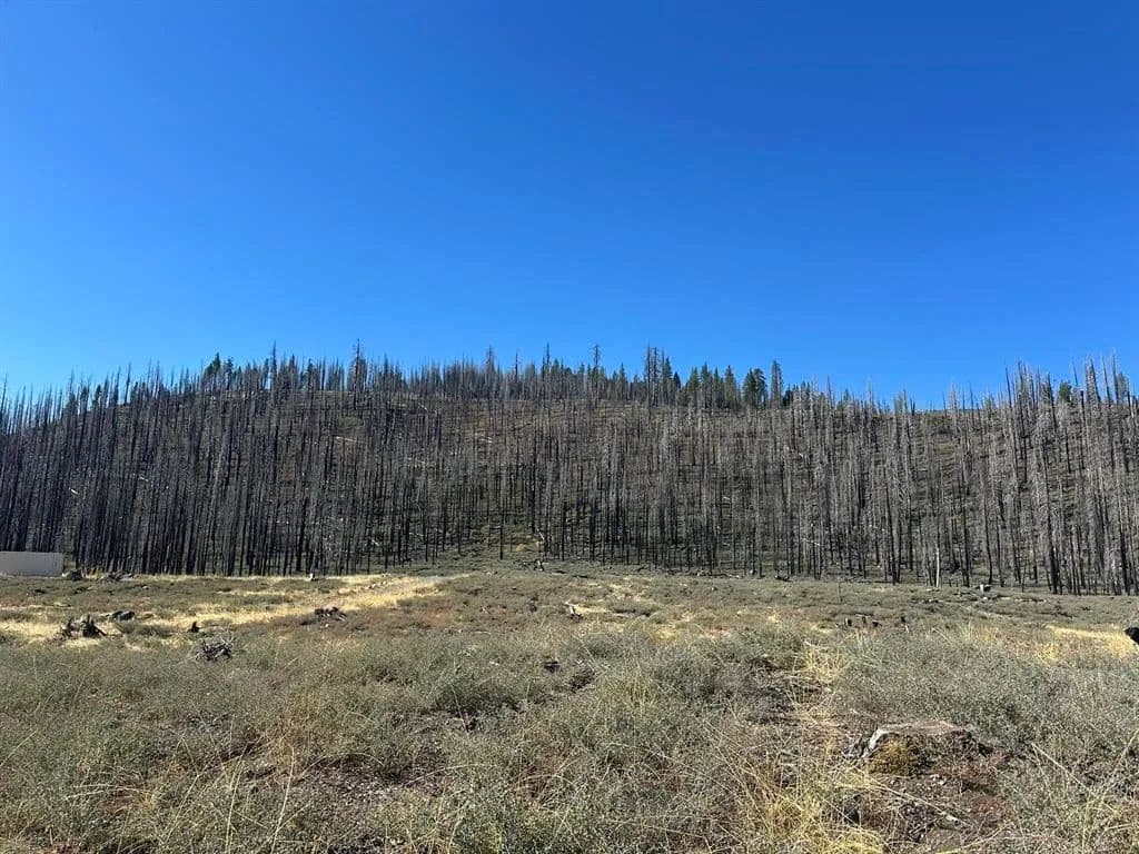 Vacant Land in Chester - Chester, California, 96020