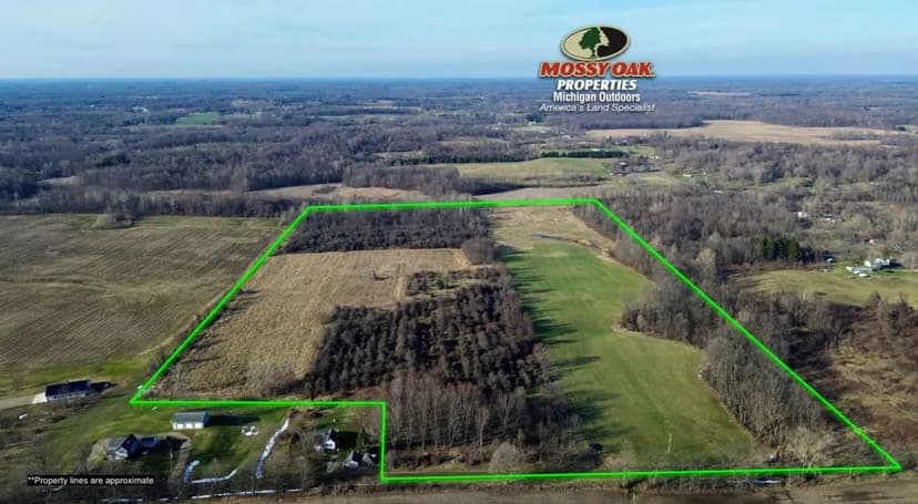 78 +/- Acre Endless Opportunity / Van Buren County, MI / Bangor, MI / Recreational & Investment / Land For Sale