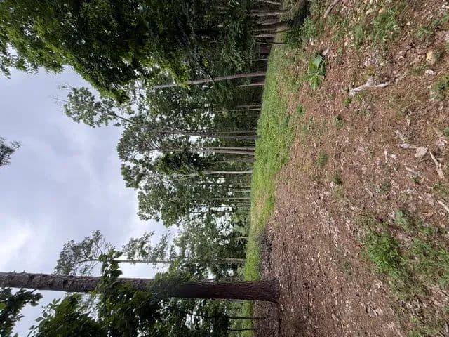 3.87 Acres of Land for Sale in Rogers, Arkansas - Rogers, Arkansas, 72756