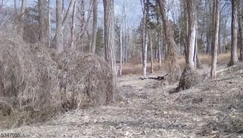 Vacant Land in Hope Twp.