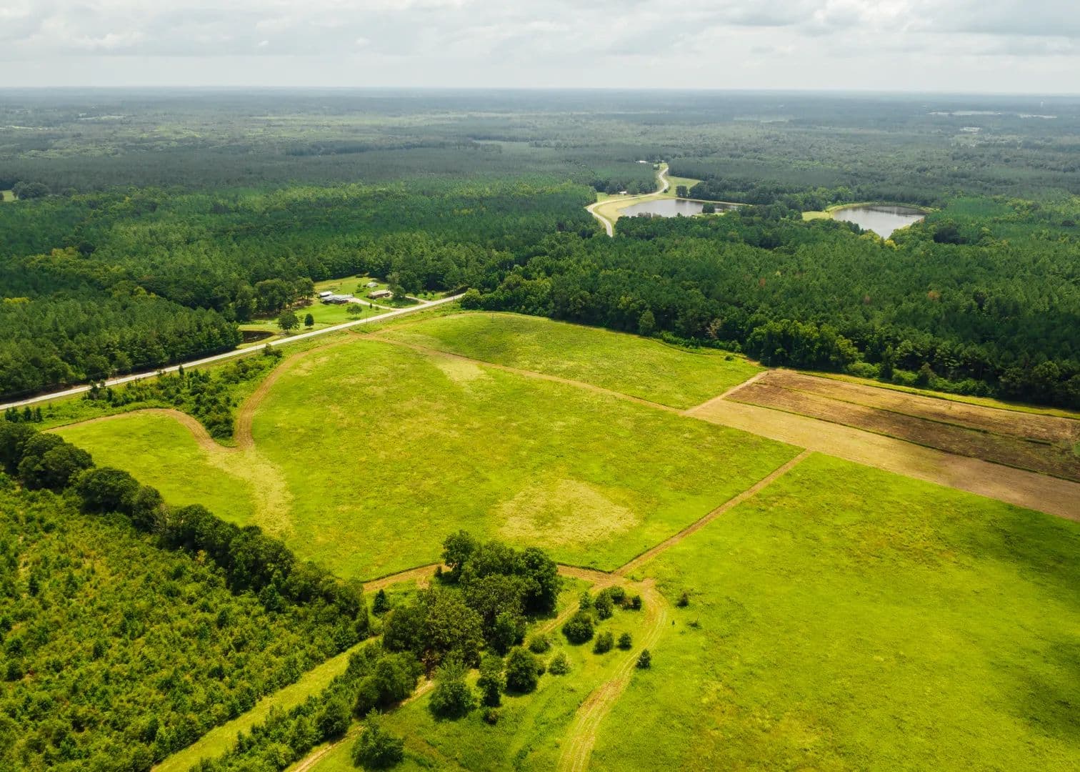 214 Acres in Winston County, MS  - Louisville, Mississippi, 39339
